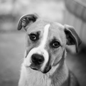 Meet your Posher, Kerry